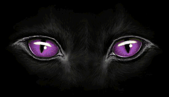 sticker_1651294_37412586