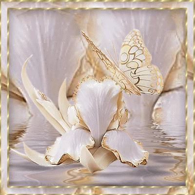 sticker_17907517_27839648