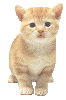 sticker_17970990_26357111