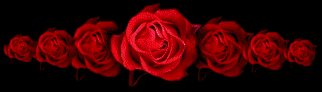 sticker_5260502_10654058
