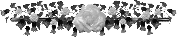 sticker_17205567_33862372