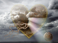 sticker_8192638_31535524