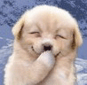 sticker_23663428_32582926