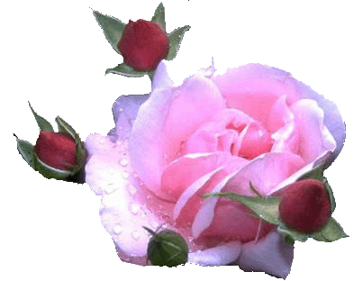 sticker_17453364_23556300