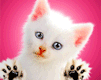 sticker_1768766_35013961