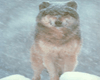 sticker_24026297_38097807