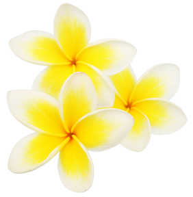 sticker_23052402_32255213