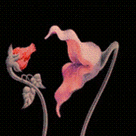 sticker_26600948_43626567