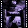 sticker_5339141_26983359