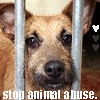 sticker_21662955_36915842