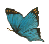 sticker_19493008_32230227