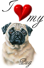 sticker_4759698_24876568