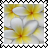 sticker_15119450_36900734