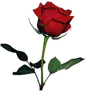 sticker_9915000_31860403