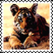 sticker_6195420_41260978