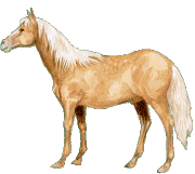 sticker_15535515_36864675