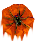 sticker_7200378_23785777