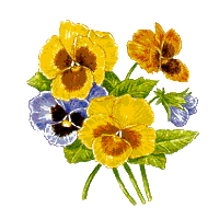 sticker_12686411_20146974