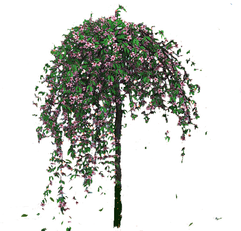 sticker_23052402_32444563