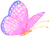 sticker_27531625_39578757