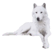 sticker_22795194_37270002