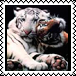 sticker_25709299_40964441