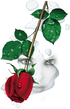sticker_27474311_44427837