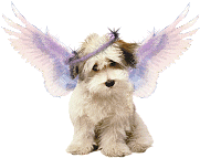 sticker_9222645_40562501