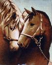 sticker_28199096_40538263