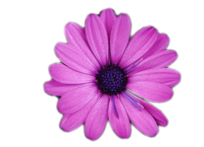 sticker_5166625_33393790