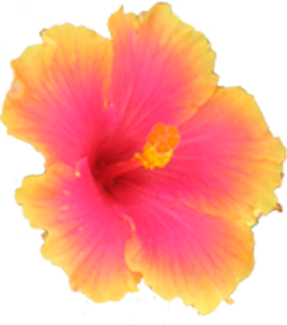sticker_11776798_41269791