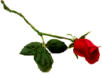 sticker_11003053_17580251