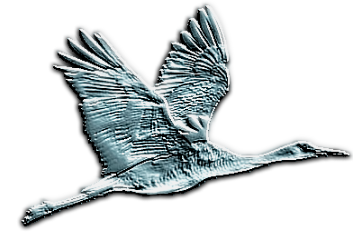 sticker_27056606_37517428