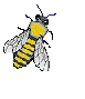 sticker_14158913_20316862
