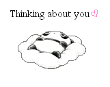 sticker_25519080_35134575
