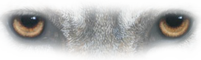 sticker_11591881_24243867