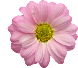 sticker_17501954_24409940