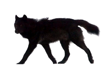sticker_15263962_37718057