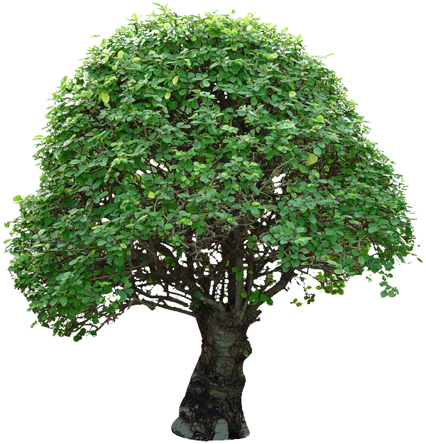 sticker_20960216_35851767