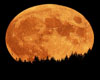sticker_24119069_35230625