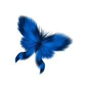 sticker_23941120_37131794