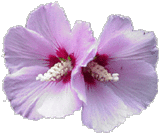sticker_20960216_28856987