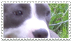 sticker_19360418_30710324