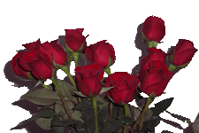 sticker_1212981_2190316
