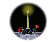 sticker_11953067_25377767