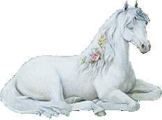sticker_15535515_33584226