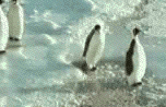 sticker_15601667_21563057