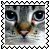sticker_13550376_27924371