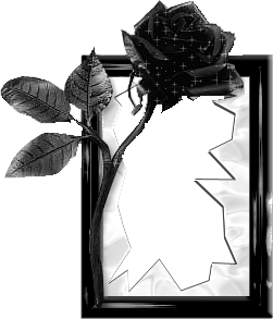 sticker_19341075_40300270