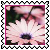 sticker_16974626_28701241